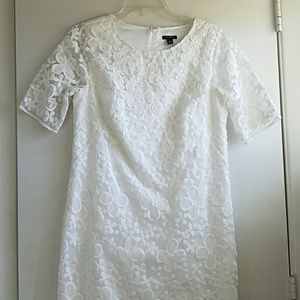Ann Taylor White Sheath Dress